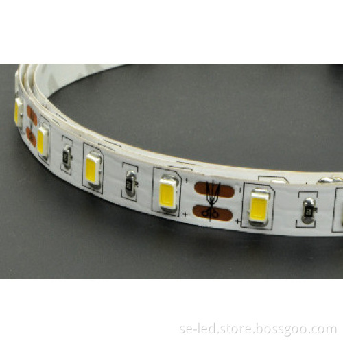 White Color Side emiting 5630SMD 34lm/smd led strips with DC12V